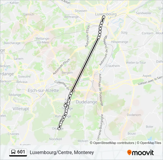 601 Bus Line Map