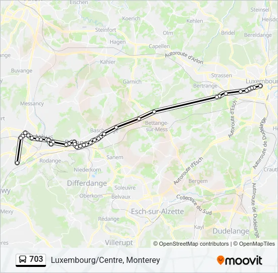 703 Bus Line Map