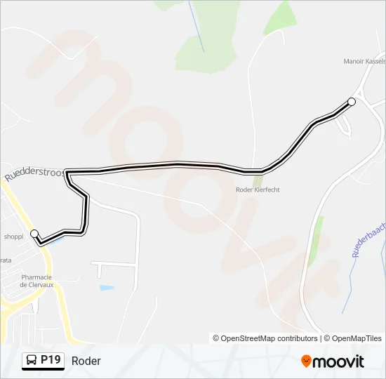 P19 Bus Line Map