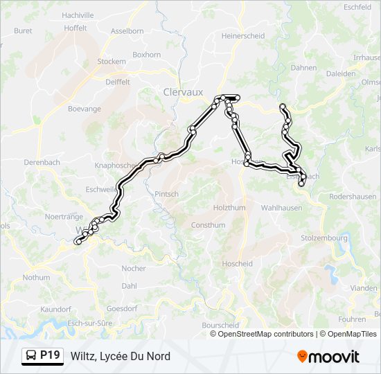 Plan de la ligne P19 de bus