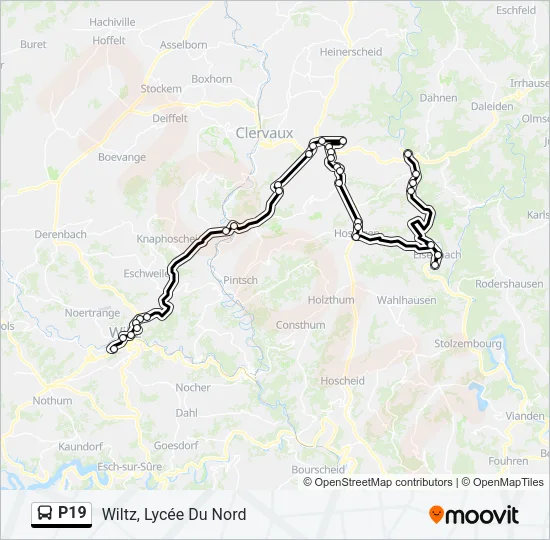P19 Bus Line Map