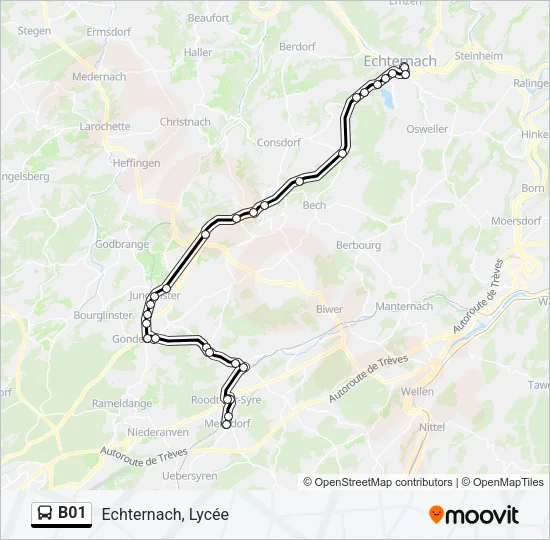 B01 Bus Line Map