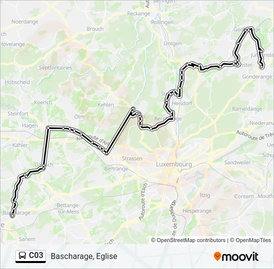 C03 Bus Line Map