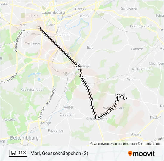 D13 Bus Line Map