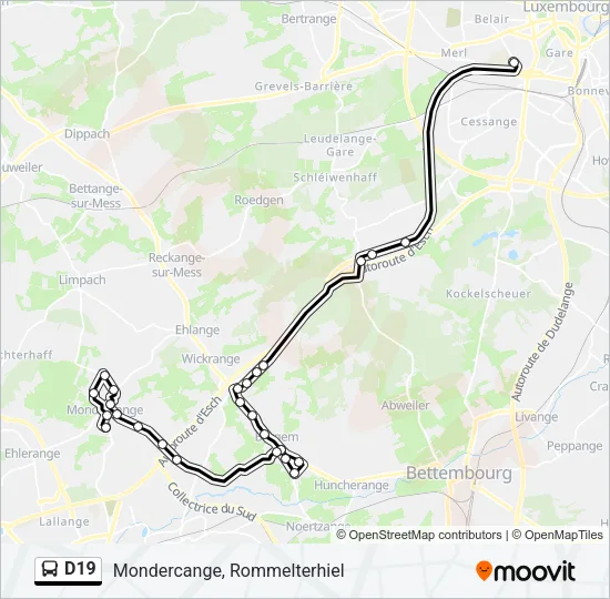 D19 Bus Line Map