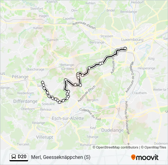 D20 Bus Line Map