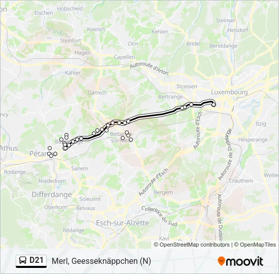 D21 Bus Line Map