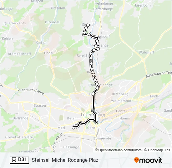 D31 Bus Line Map