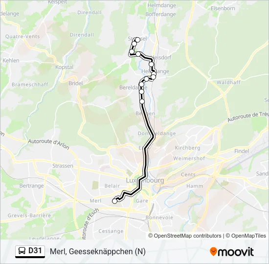 D31 Bus Line Map