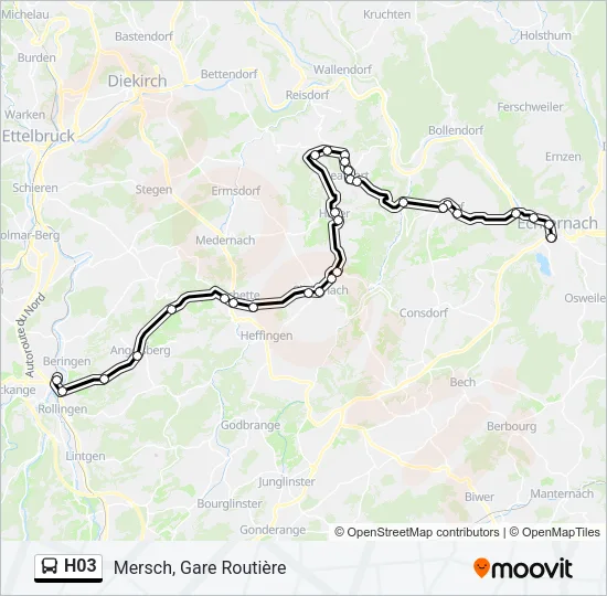 H03 Bus Line Map