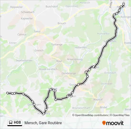 H08 Bus Line Map