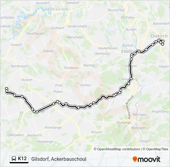 K12 Bus Line Map