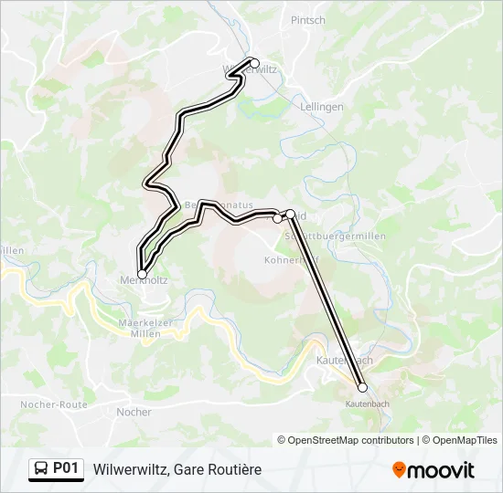 P01 Bus Line Map