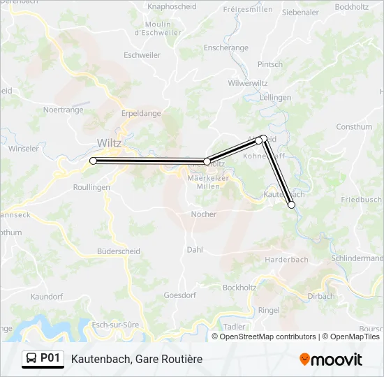 P01 Bus Line Map