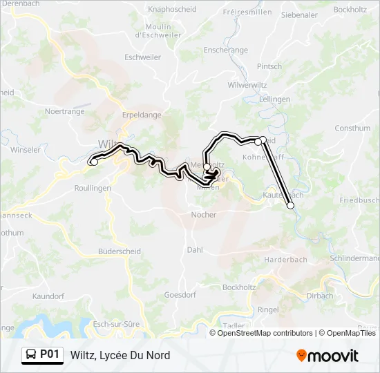 P01 Bus Line Map