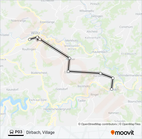 P03 Bus Line Map
