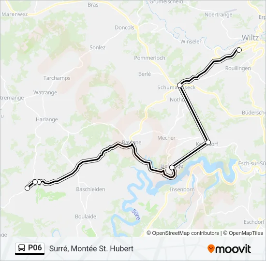 P06 Bus Line Map