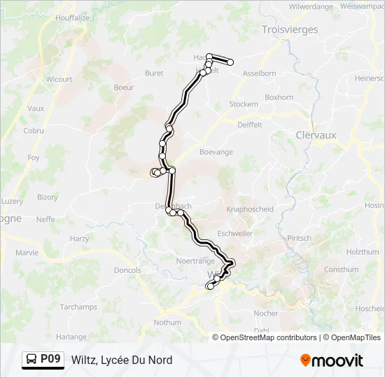 P09 Bus Line Map