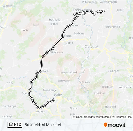 P12 Bus Line Map