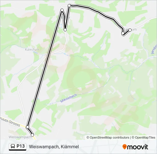 P13 Bus Line Map