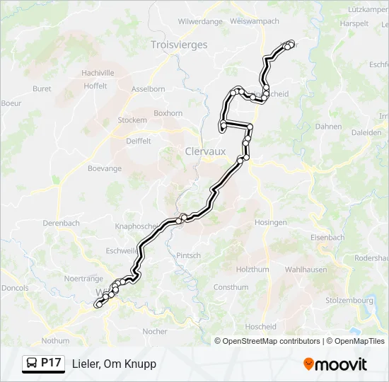 P17 Bus Line Map