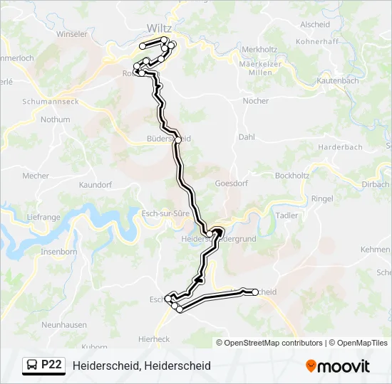 P22 Bus Line Map