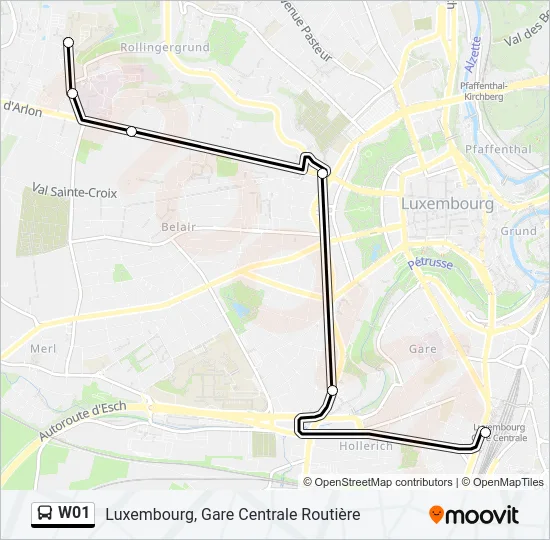W01 Bus Line Map