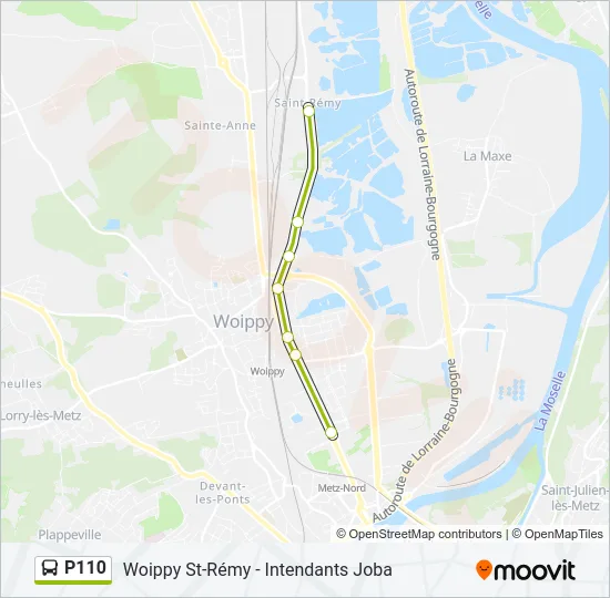 P110 Bus Line Map