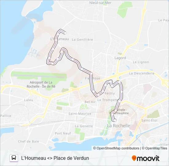 10 Bus Line Map