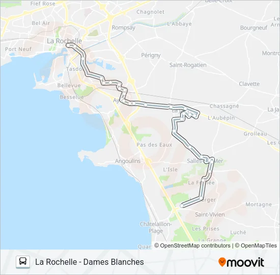 19 Bus Line Map