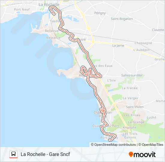 20 Bus Line Map