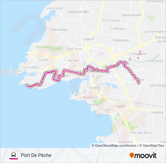 7 Bus Line Map