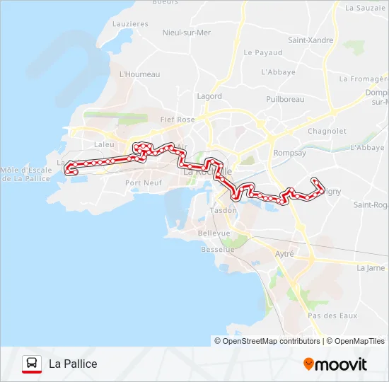 D2 Bus Line Map