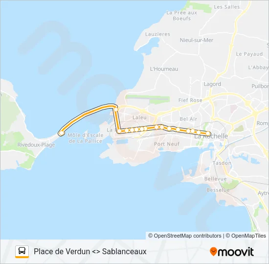 50 Bus Line Map