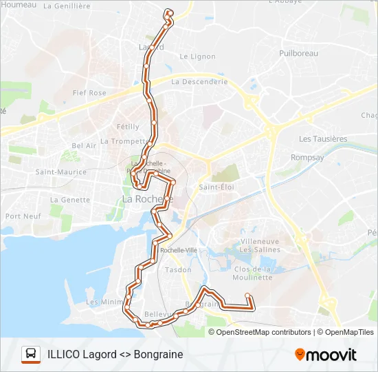 3 Bus Line Map