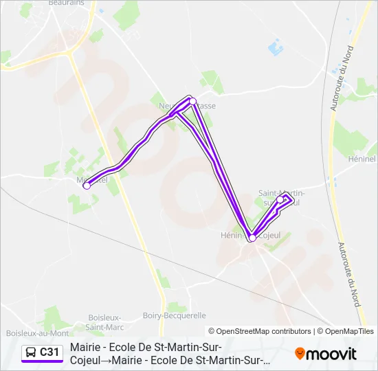 C31 Bus Line Map