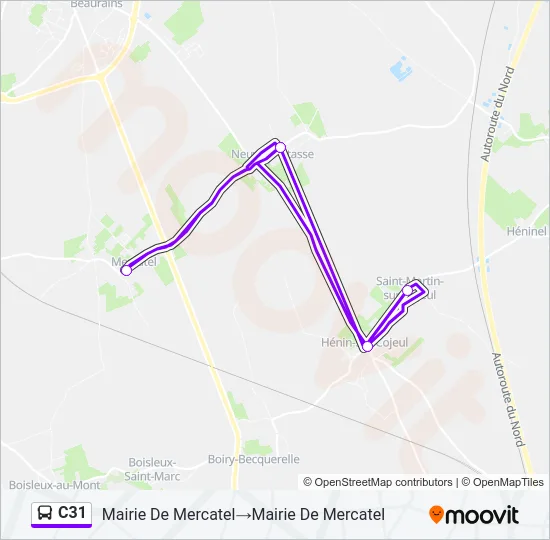 C31 Bus Line Map