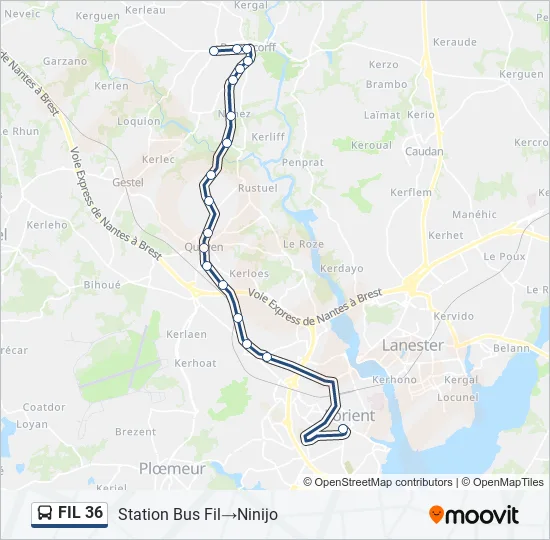 FIL 36 Bus Line Map