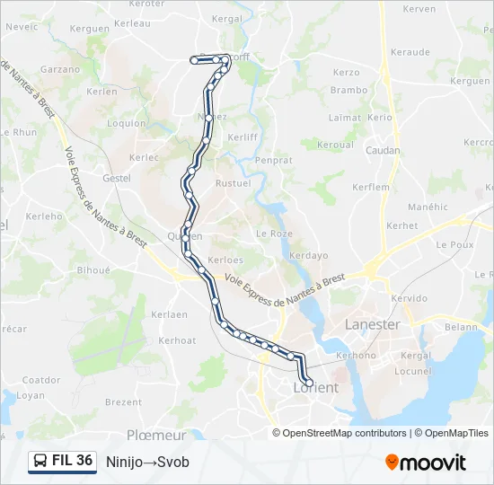 FIL 36 Bus Line Map