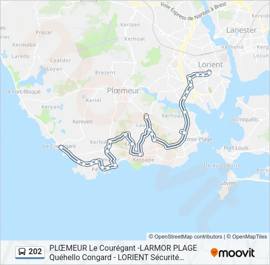 202 Bus Line Map