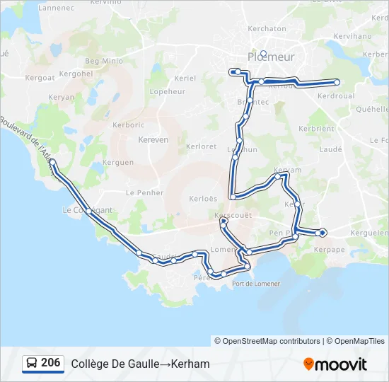 206 Bus Line Map