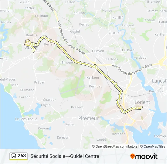 263 Bus Line Map