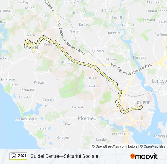 263 bus Line Map