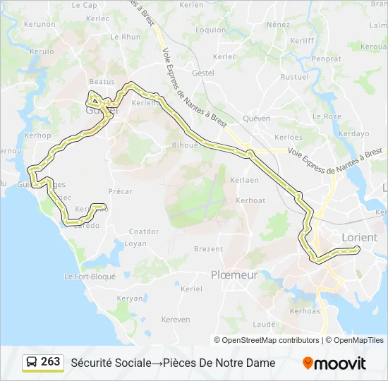 263 Bus Line Map