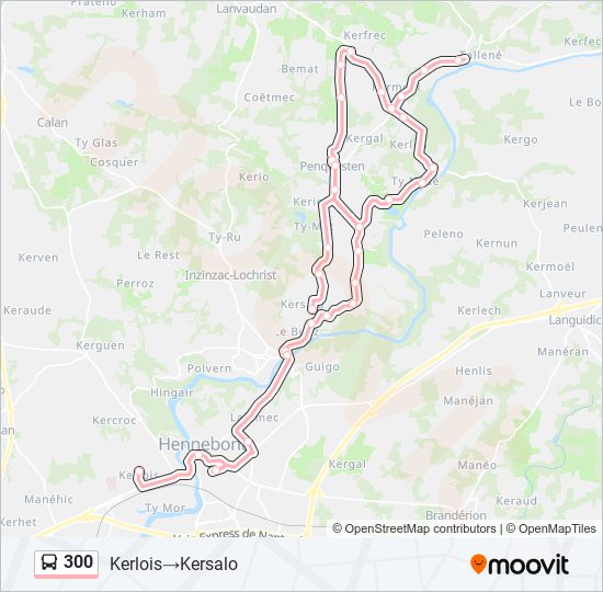 300 bus Line Map