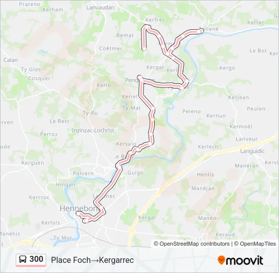 300 Bus Line Map