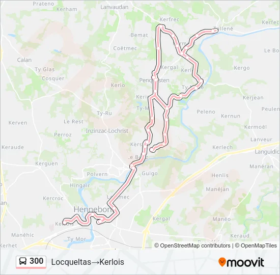 300 Bus Line Map