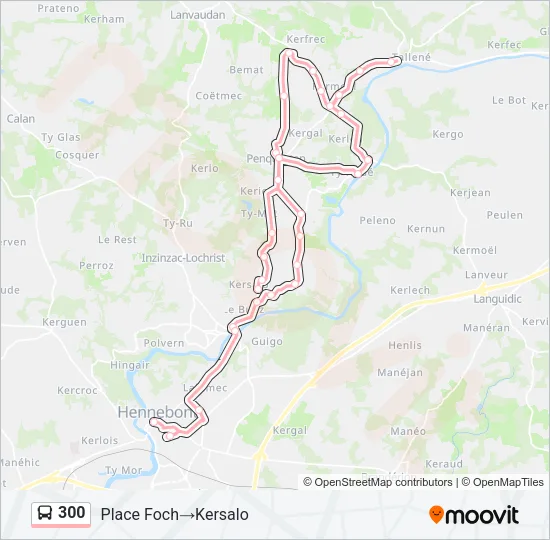 300 Bus Line Map