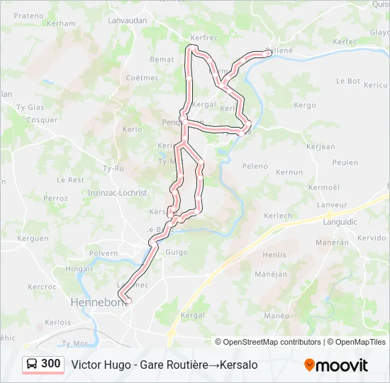300 Bus Line Map
