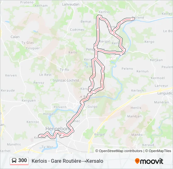 300 Bus Line Map